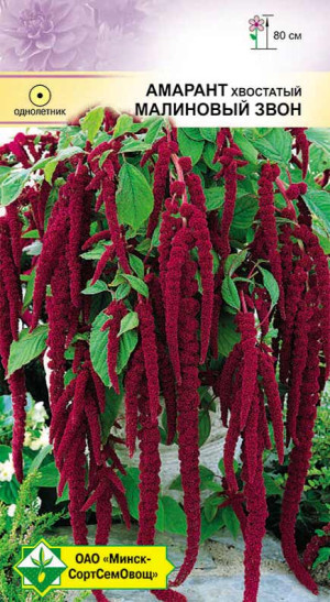 Амарант хвостатый Малиновый звон 0.5г