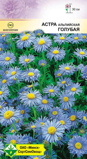 Астра альпийская Голубая 0.1г