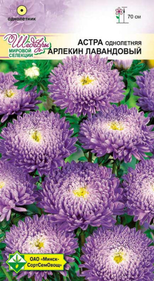 Астра Арлекин Лавандовый 0.2г