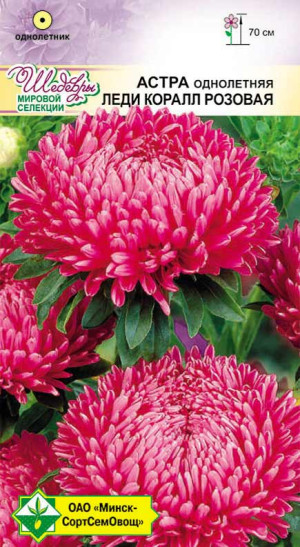 Астра Леди Коралл Розовая 0.1г