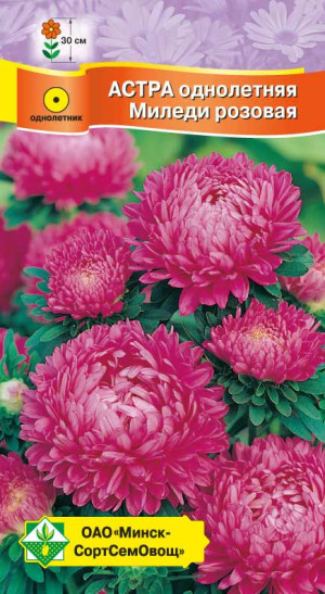 Астра Миледи Розовая 0.15г