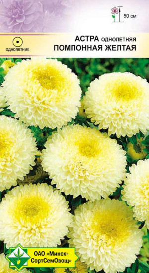 Астра Помпонная Желтая 0.3г