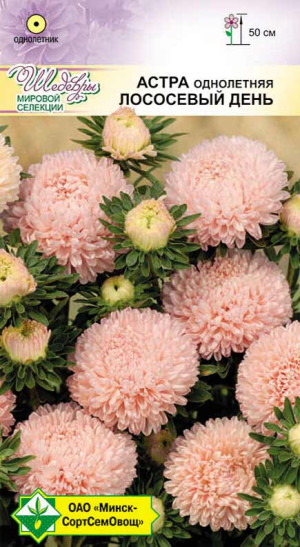 Астра Прекрасный день Лососевый день 0.1г