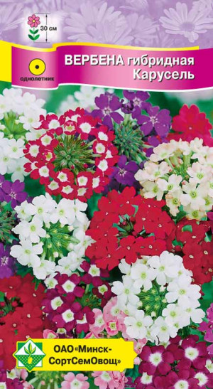 Вербена гибридная Карусель см 0.2г