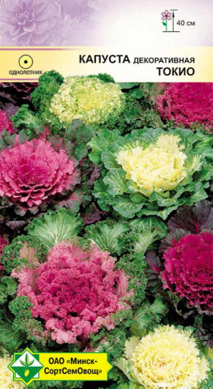 Капуста декоративная Токио см 0.2г