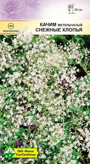 Качим метельч Снежные хлопья 0.2г
