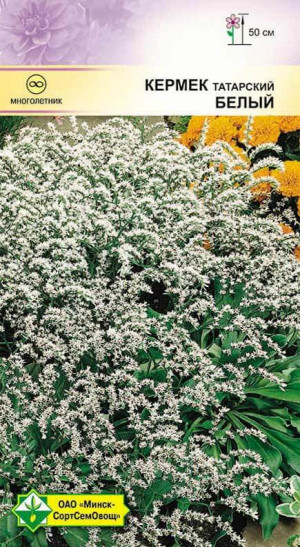 Кермек татарский (статица) Белый 0.1г