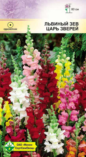Львиный зев Царь зверей 0.2г