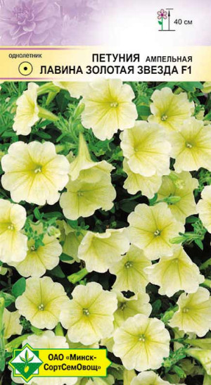 Петуния гибридная ампельная Лавина золотая звезда F1 7шт