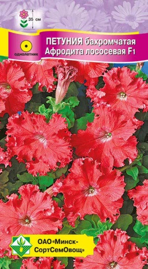 Петуния гибридная бахромчатая Афродита лососевая F1 7шт