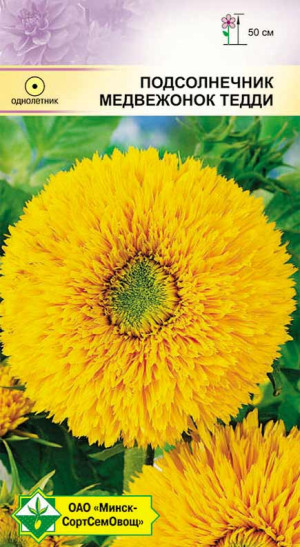 Подсолнечник Медвежонок Тедди 1г