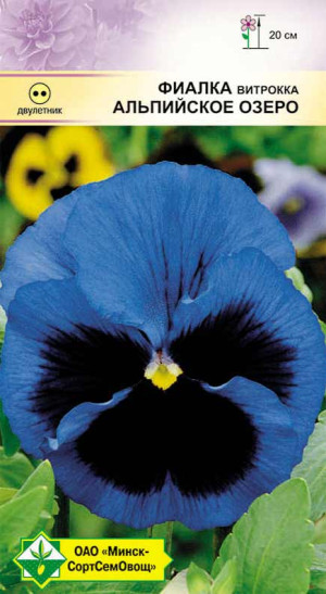 Фиалка Витрокка Альпийское озеро 0.1г