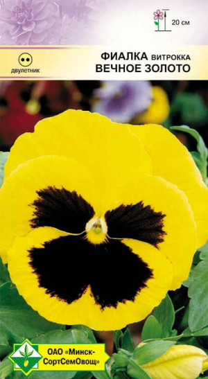 Фиалка Витрокка Вечное золото 0.1г