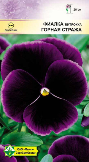 Фиалка Витрокка Горная стража 0.1г