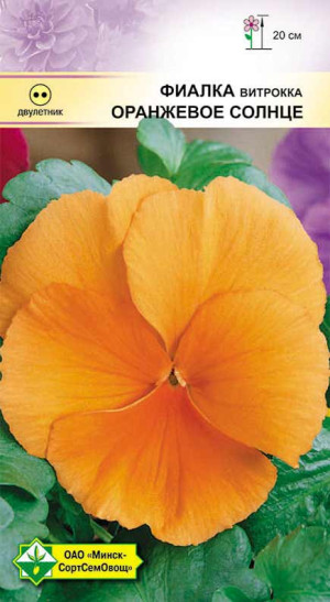 Фиалка Витрокка Оранжевое солнце 0.1г