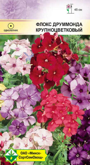 Флокс Друммонда Крупноцветковая см 0.3г