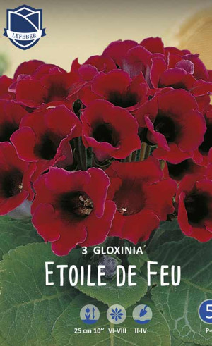 Глоксиния Etoile de Feu (Lefeber)