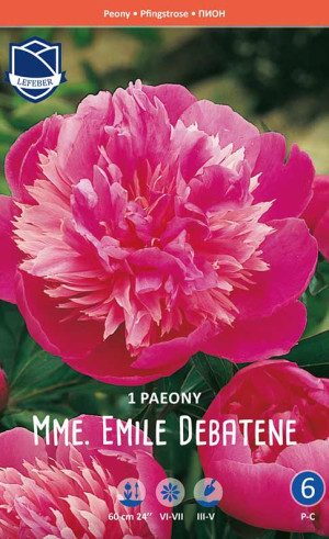 Пион Mme. Emile Debatene (Lefeber)
