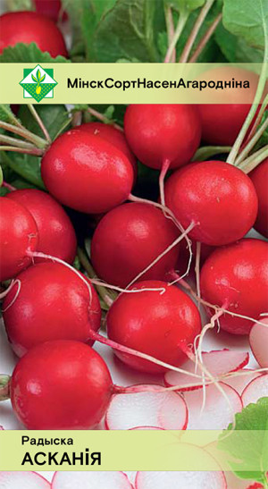 Редис Аскания 2г