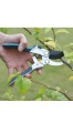 Секатор плоскостной Cyrus HCTP-2237