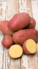 Картофель семенной Манифест