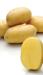 Картофель семенной Пароли