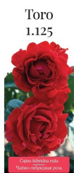 Розы саженцы чайно-гибр Toro
