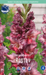 Гладиолус Rostov (Lefeber)