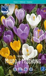 Крокусы Mixed (Lefeber)