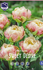 Тюльпаны Sweet Desire (Lefeber)