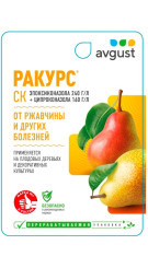 Ракурс 10мл