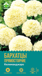 Бархатцы прям Килиманджаро 15шт