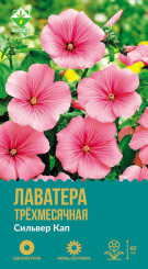 Лаватера трехмесячная Сильвер Кап 0.5г