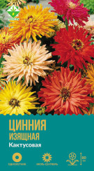 Цинния изящная Кактусовая см 0.5г