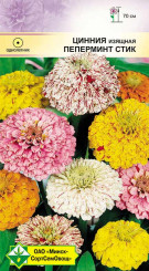 Цинния изящная Пеперминт стик 0.5г