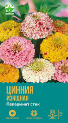 Цинния изящная Пеперминт стик 0.5г