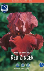 Ирис germanica Red Zinger (Lefeber)