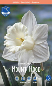 Нарциссы Mount Hood (Lefeber)
