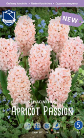 Гиацинты Apricot Passion (Lefeber)