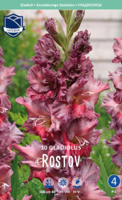 Гладиолус Rostov (Lefeber)