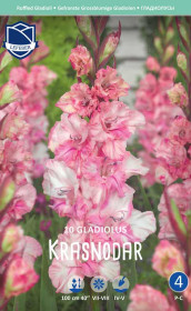 Гладиолус Krasnodar (Lefeber)