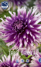 Георгина Table Dancer (Lefeber)