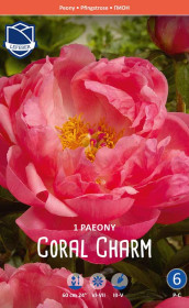 Пион Coral Charm (Lefeber)