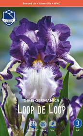 Ирис germanica Loop the Loop (Lefeber)