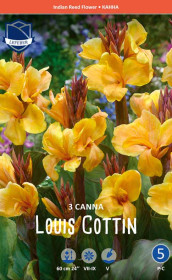 Канна Louis Cottin (Lefeber)