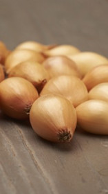 Лук-севок (выборок) Стурон (21-24мм)