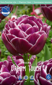 Тюльпаны Dream Touch (Lefeber)