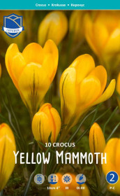 Крокусы Yellow Mammoth (Lefeber)