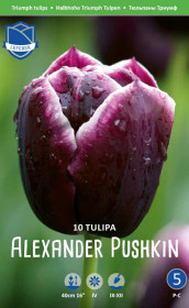 Тюльпаны Alexander Pushkin (Lefeber)