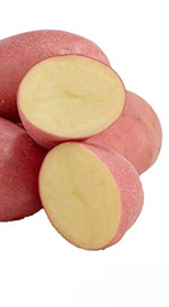 Картофель семенной Першацвет ГЗИ